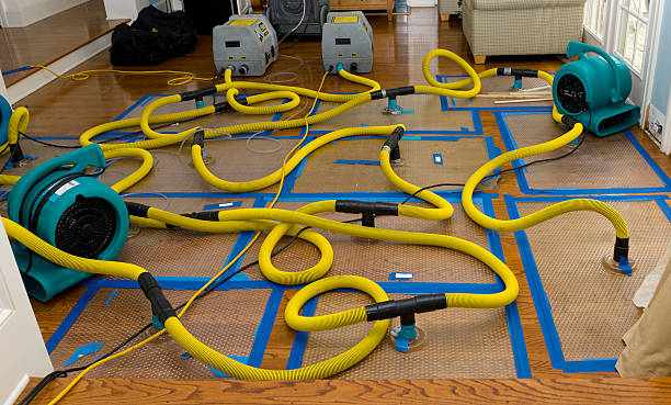 Professional Water Extraction technician working in Lansing, OH